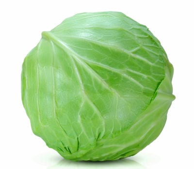 Fresh Green Cabbage