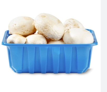 Fresh Mushrooms