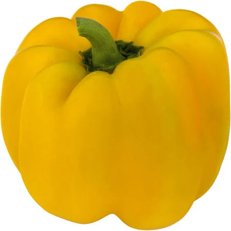 X- Large Sunflower Pepper